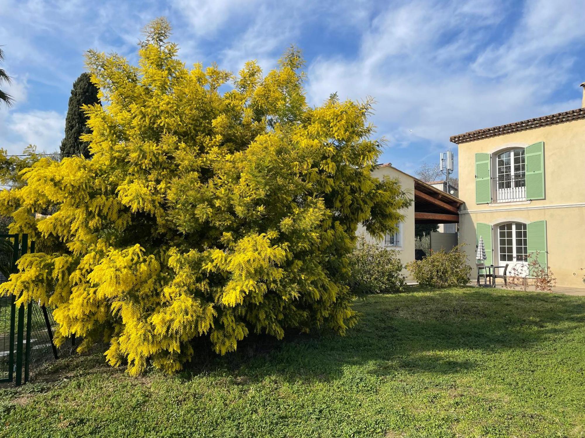 Chambre D'Hotes "La Bastide Des Eucalyptus" Antibes Exterior photo